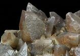 Dogtooth Calcite Crystal Cluster - Morocco #57385-3